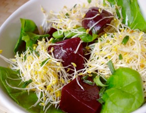 Los beneficios de la alfalfa